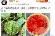 娱乐圈吃瓜是什么,揭秘明星背后的故事与真相